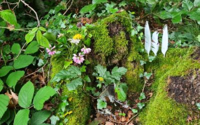 Atelier de Travail qui Relie – Vallée de l&rsquo;Aude